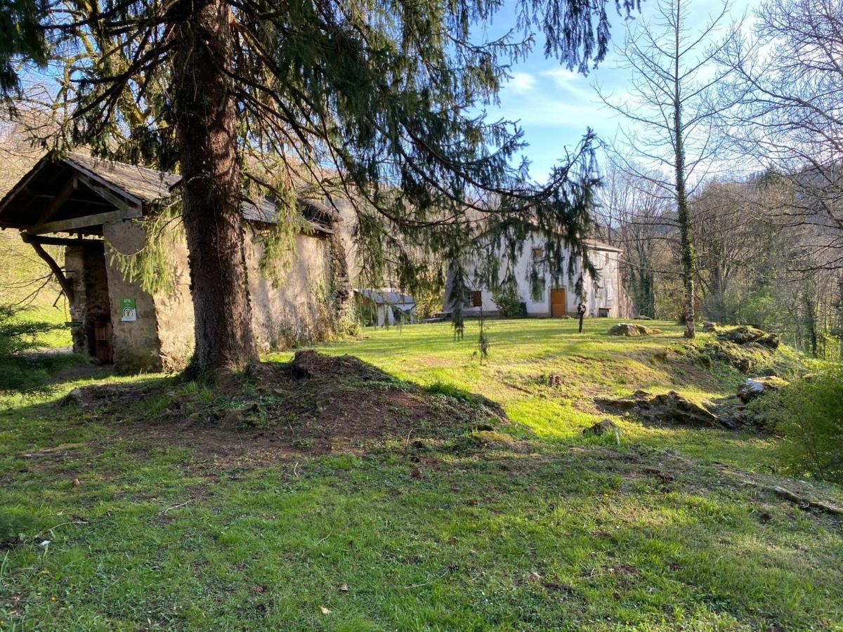Le Tilleul De Bressolles Brassac  Extérieur photo